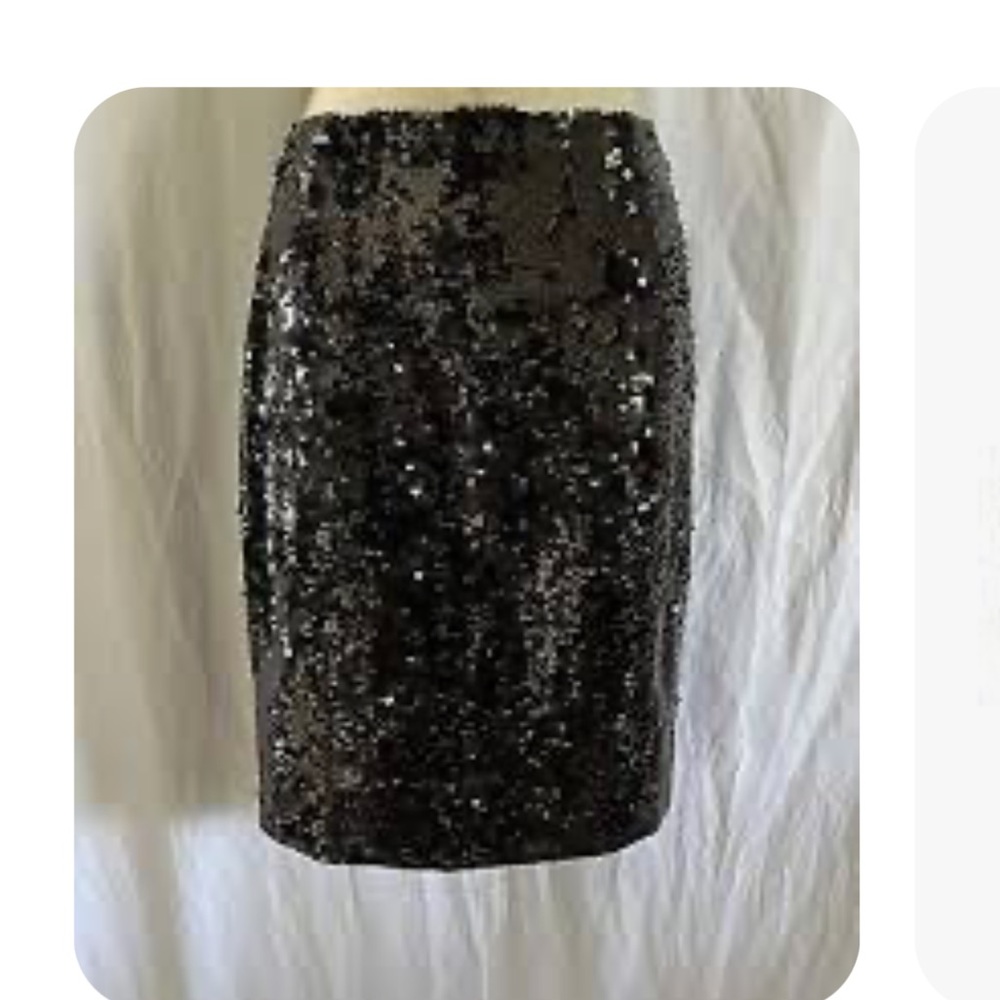 Shimmering Black Sequin Skirt NWT Express Design Studio